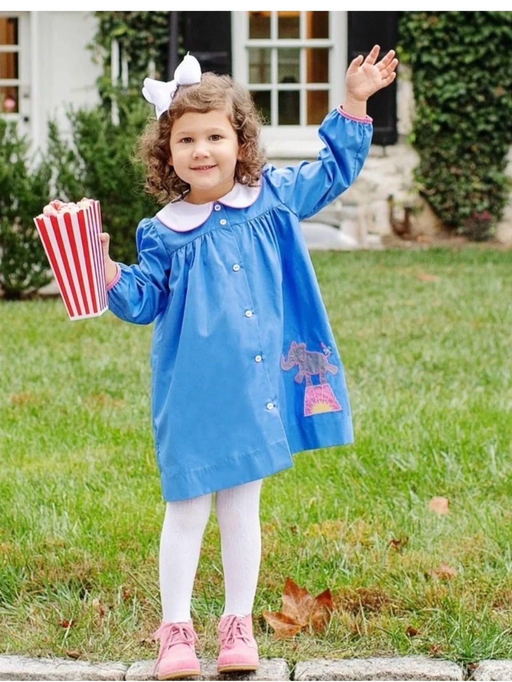 The Beaufort Bonnet Company Blue Dress with Pink Trim and Elephant Applique
